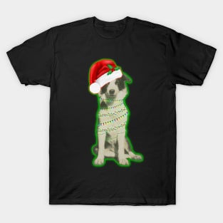 Australian Shepherd Christmas T-Shirt